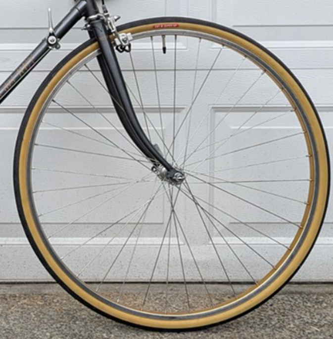 Fuji bike wheel tire