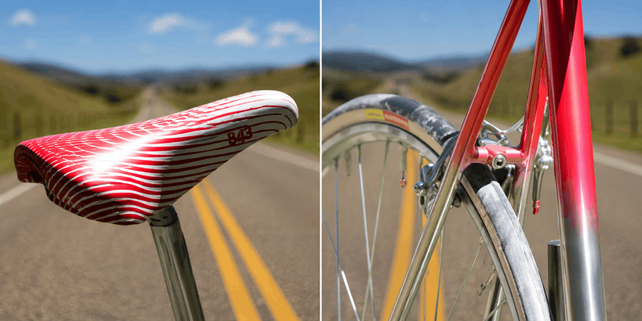 PANASONIC BICYCLE PICS TITANIUM saddle and seat stays