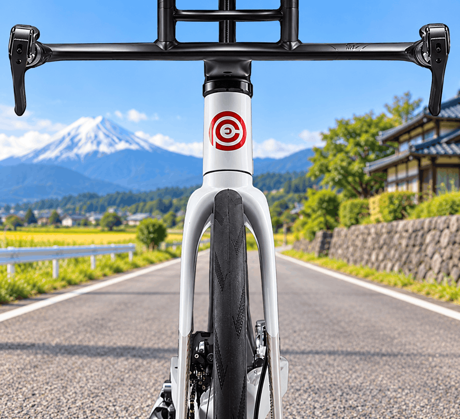 Ceepo Triathlon bike fork