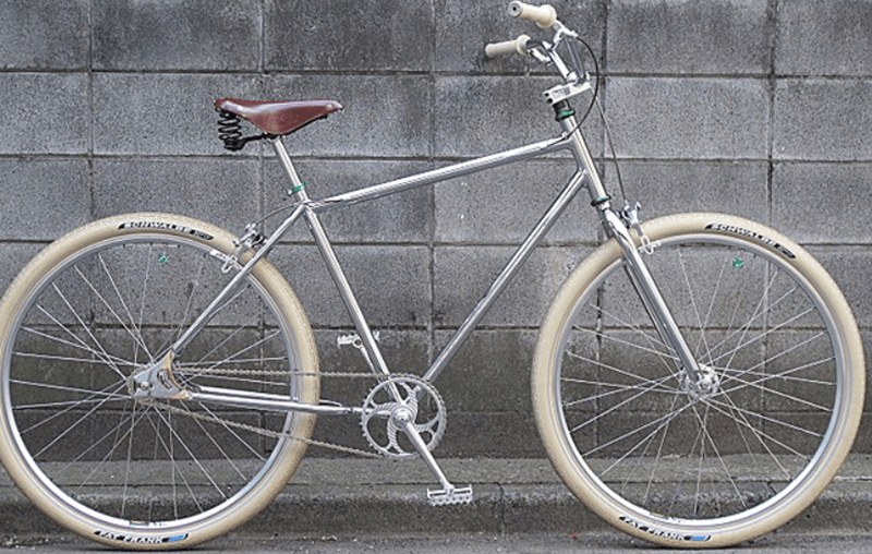 REW10 cruiser bike