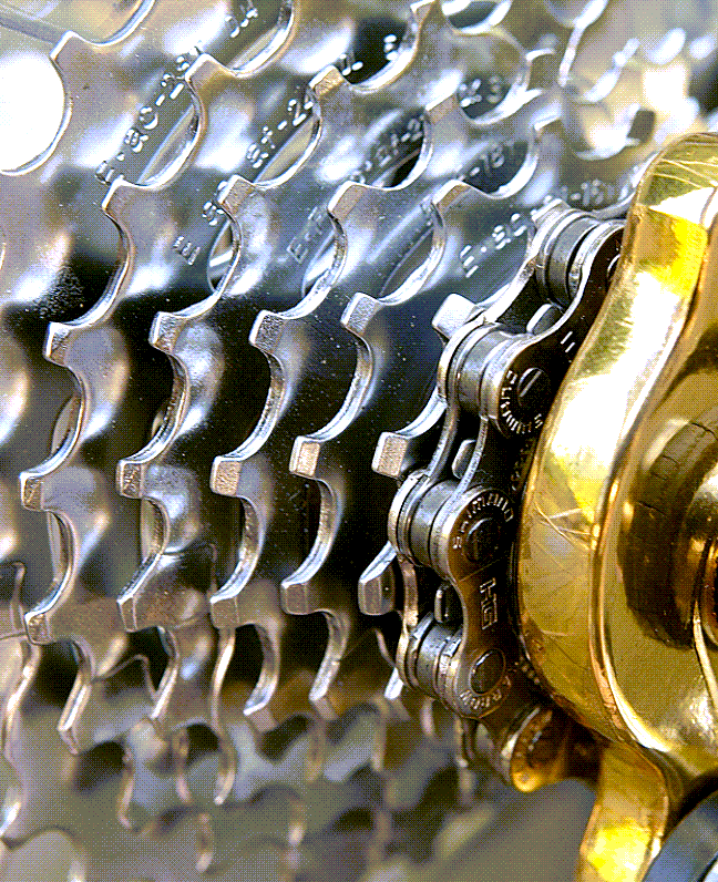 limited edition Miyata Century cassette