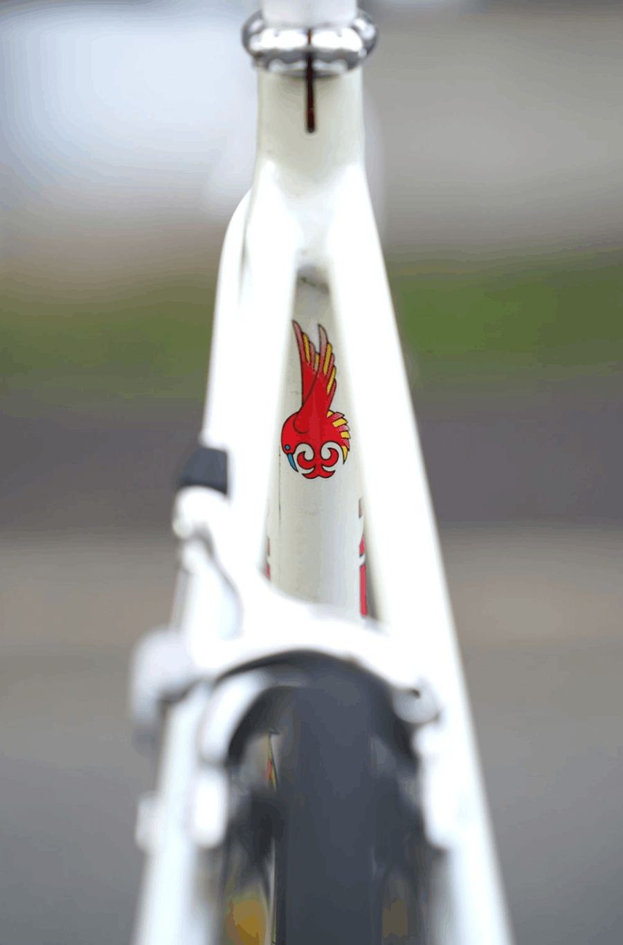 Takeru Kageyama seat stays