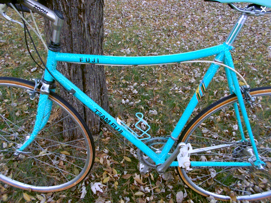 1987 Team Fuji Funny Bike left side