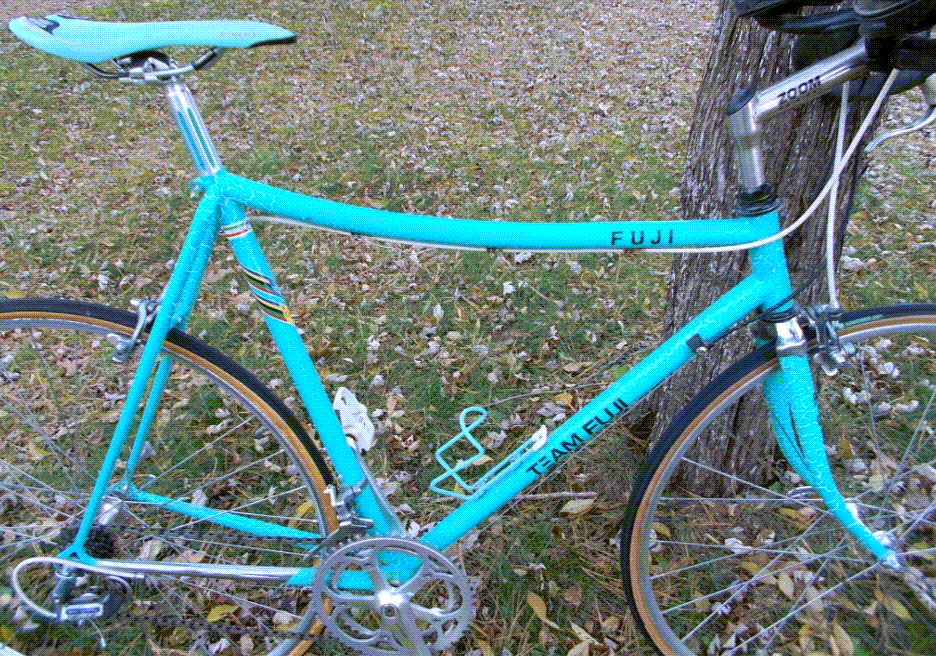 1987 Team Fuji Funny Bike Ishawata tubing