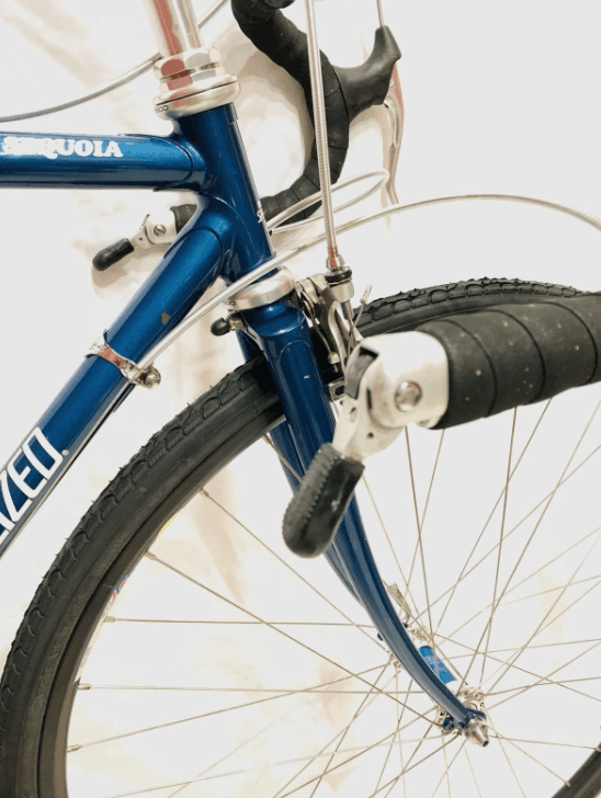 Specialized Sequoia headset