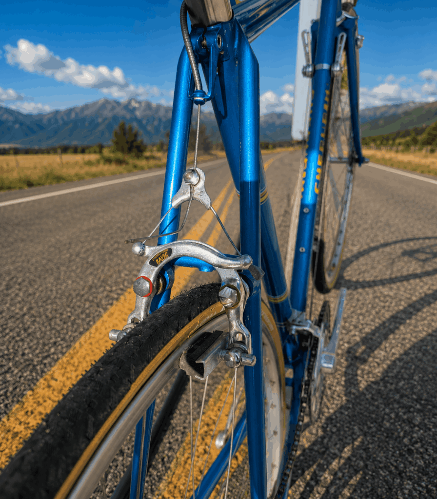 Cherubim V seat stays